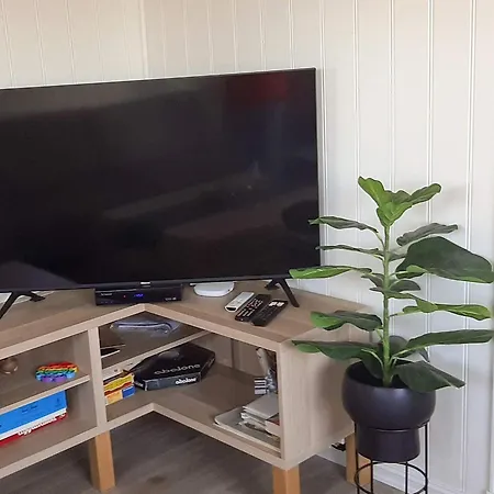 4 Person In